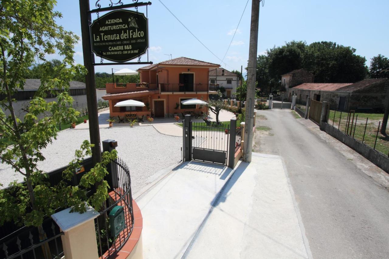 Azienda Agrituristica La Tenuta Del Falco Piedimonte San Germano エクステリア 写真