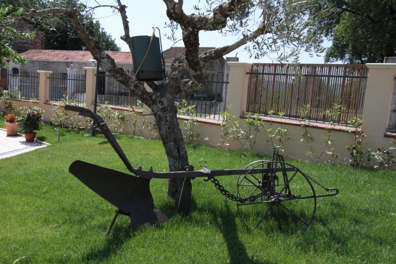 Azienda Agrituristica La Tenuta Del Falco Piedimonte San Germano エクステリア 写真