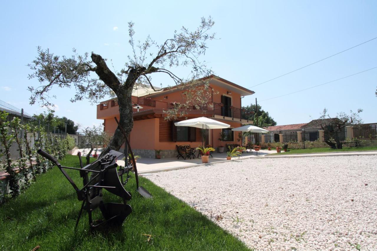 Azienda Agrituristica La Tenuta Del Falco Piedimonte San Germano エクステリア 写真