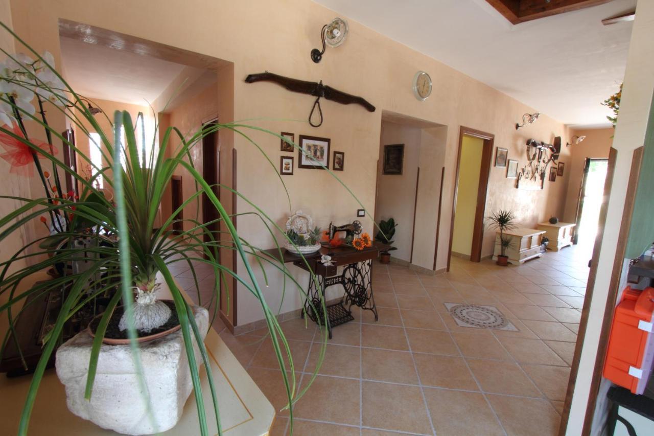 Azienda Agrituristica La Tenuta Del Falco Piedimonte San Germano エクステリア 写真